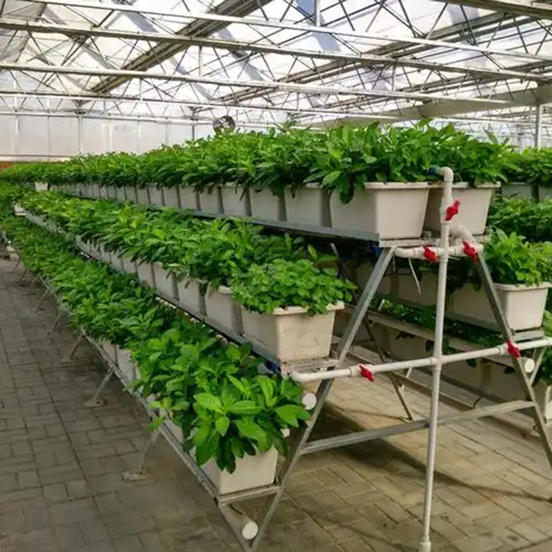 榆林市植物工厂无土栽培 - 方案
