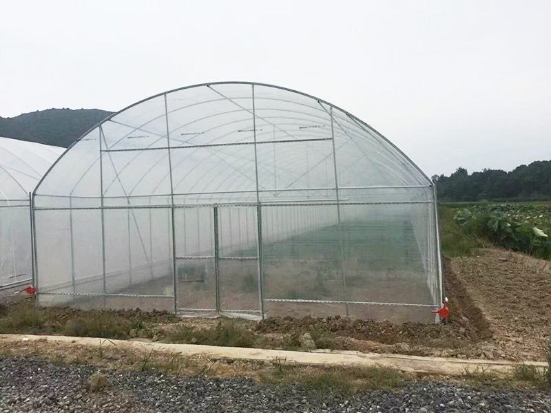 榆林市薄膜大棚鱼菜共生 - 价格